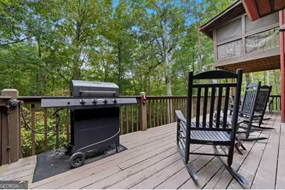 330 Skyview Drive, Ellijay, GA 30536 - Photo 22