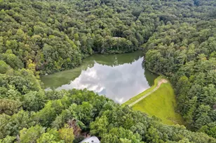330 Skyview Dr, Ellijay, GA 30536 - Photo 6