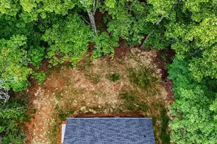 233 Old Old Alabama Rd, Emerson, GA 30137 - Photo 44