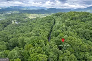 344 Robertson Dr, Blairsville, GA 30512 - Photo 44