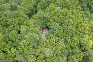 344 Robertson Dr, Blairsville, GA 30512 - Photo 40