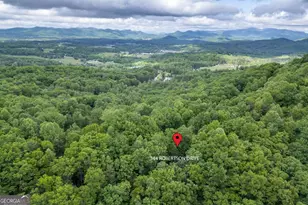 344 Robertson Dr, Blairsville, GA 30512 - Photo 46