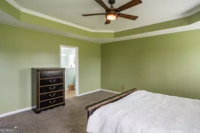 23 Francis Marion Road NE, Ludowici, GA 31316 - Photo 32