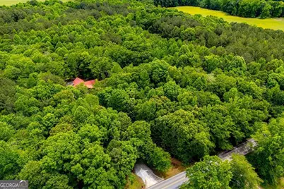 695 N Jonesville Road, Bowdon, GA 30108 - Photo 54
