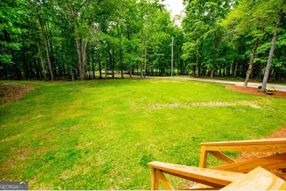 695 N Jonesville Road, Bowdon, GA 30108 - Photo 10