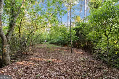 0 Douglas Highway, Fitzgerald, GA 31750 - Photo 12