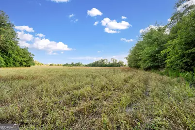 0 Douglas Highway, Fitzgerald, GA 31750 - Photo 6