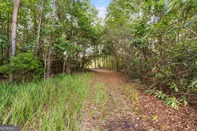 0 Douglas Highway, Fitzgerald, GA 31750 - Photo 8
