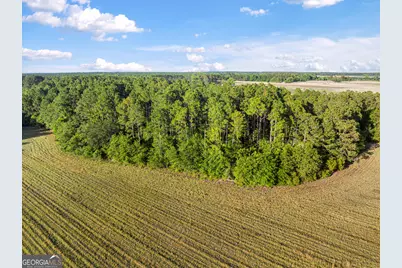 0 Douglas Highway, Fitzgerald, GA 31750 - Photo 40