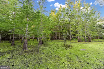 0 Douglas Highway, Fitzgerald, GA 31750 - Photo 16