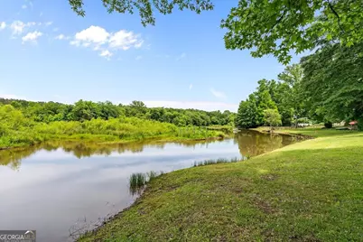 262 Roy Baynor Lane, Bowdon, GA 30108 - Photo 54