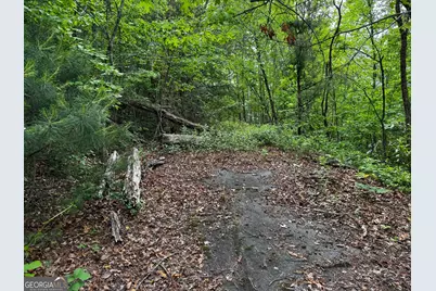 #6 Pounding Mill Overlook, Hayesville, NC 28904 - Photo 10