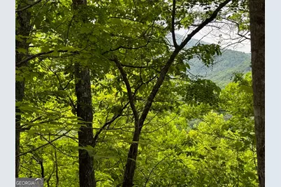 #6 Pounding Mill Overlook, Hayesville, NC 28904 - Photo 1