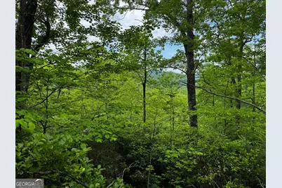 #6 Pounding Mill Overlook, Hayesville, NC 28904 - Photo 12