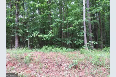0 Doke Cohran Road, Dallas, GA 30157 - Photo 6