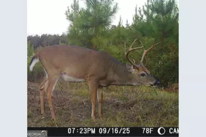 0 Sandy Creek Road, Irwinton, GA 31042 - Photo 24