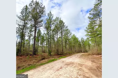 0 Sandy Creek Road, Irwinton, GA 31042 - Photo 30