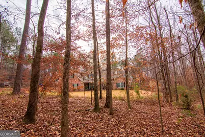 3337 Lower Blue Springs Road, Hamilton, GA 31811 - Photo 34