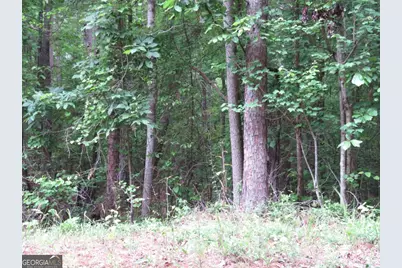 0 Doke Cohran Road, Dallas, GA 30157 - Photo 8