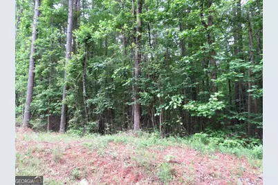 0 Doke Cohran Road, Dallas, GA 30157 - Photo 2