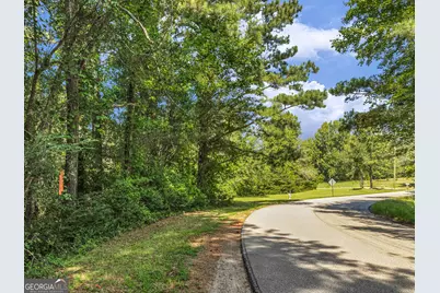 127 Little Road, Hampton, GA 30228 - Photo 8