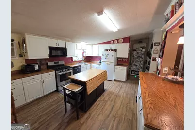 395 E Milner Road, Zebulon, GA 30295 - Photo 44