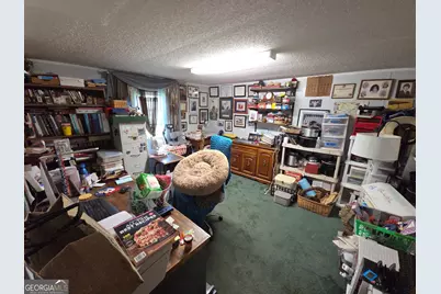 395 E Milner Road, Zebulon, GA 30295 - Photo 50