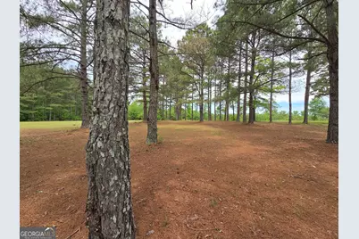 395 E Milner Road, Zebulon, GA 30295 - Photo 62