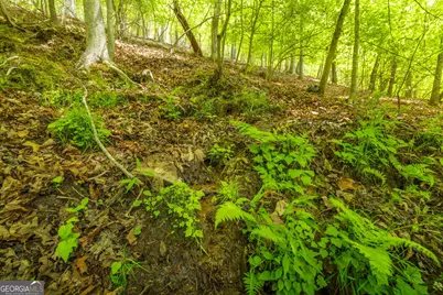2.90 Acres Galloway Road, Blue Ridge, GA 30513 - Photo 4