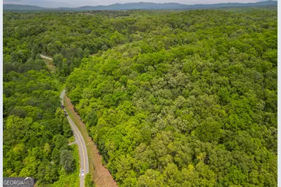 2.90 Acres Galloway Road, Blue Ridge, GA 30513 - Photo 14