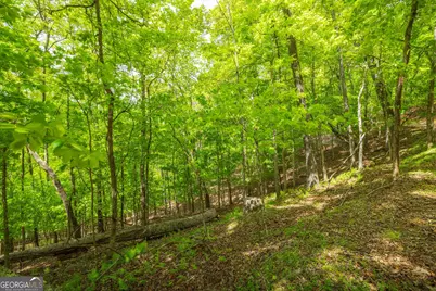 2.90 Acres Galloway Road, Blue Ridge, GA 30513 - Photo 6
