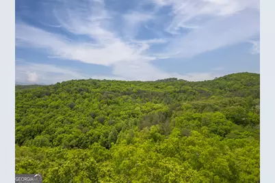 2.90 Acres Galloway Road, Blue Ridge, GA 30513 - Photo 12