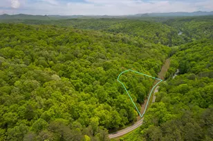 2 90 Acres Galloway Rd, Blue Ridge, GA 30513 - Photo 1