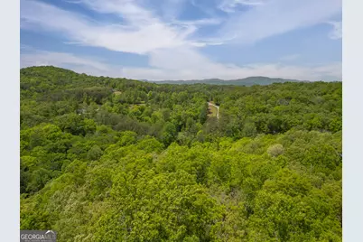 2.90 Acres Galloway Road, Blue Ridge, GA 30513 - Photo 2