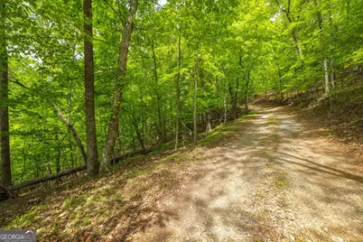 2.90 Acres Galloway Road, Blue Ridge, GA 30513 - Photo 10