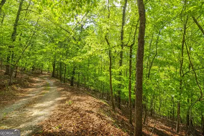 2.90 Acres Galloway Road, Blue Ridge, GA 30513 - Photo 8