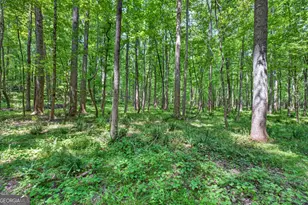 1270 Perryman Rd, Buckhead, GA 30625 - Photo 84
