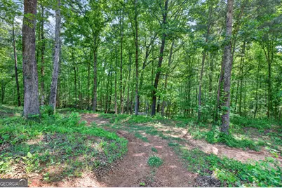 1270 Perryman Road, Buckhead, GA 30625 - Photo 64