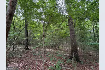 1018 Neal Road, Commerce, GA 30530 - Photo 20