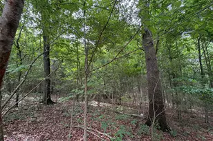 1018 Neal Rd, Commerce, GA 30530 - Photo 20