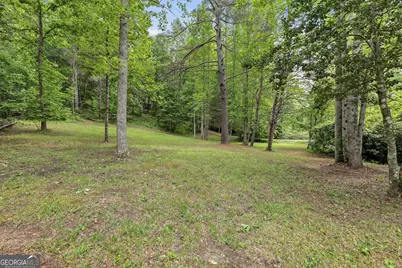 320 Sweetwater Drive, Clarkesville, GA 30523 - Photo 58