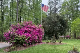 717 Tyrone Rd, Tyrone, GA 30290 - Photo 2