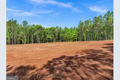 446 Parks Road, Forsyth, GA 31029 - Photo 4
