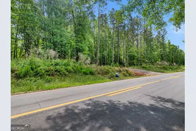 446 Parks Road, Forsyth, GA 31029 - Photo 10