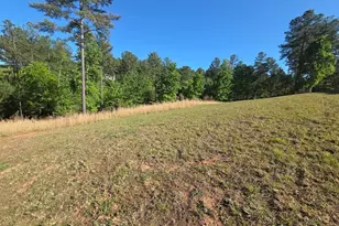 182 Loop Ln, Blairsville, GA 30512 - Photo 48