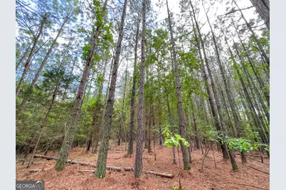 7517 Blacks Bluff Rd. SW (24 +/- Acres), Cave Spring, GA 30124 - Photo 50