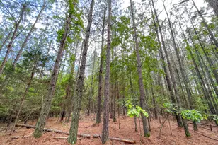 7517 Blacks Bluff Rd SW, Cave Spring, GA 30124 - Photo 50