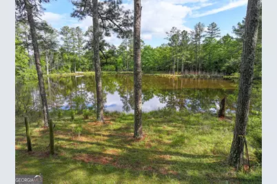 7517 Blacks Bluff Rd. SW (24 +/- Acres), Cave Spring, GA 30124 - Photo 10