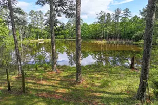 7517 Blacks Bluff Rd SW, Cave Spring, GA 30124 - Photo 10