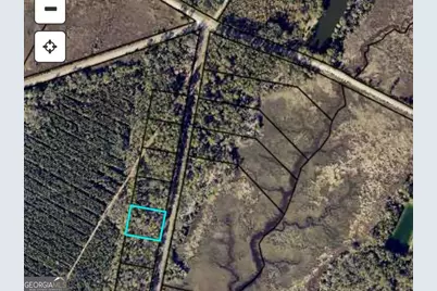 0 Piney Bluff Lot 5 Road, Waverly, GA 31565 - Photo 10